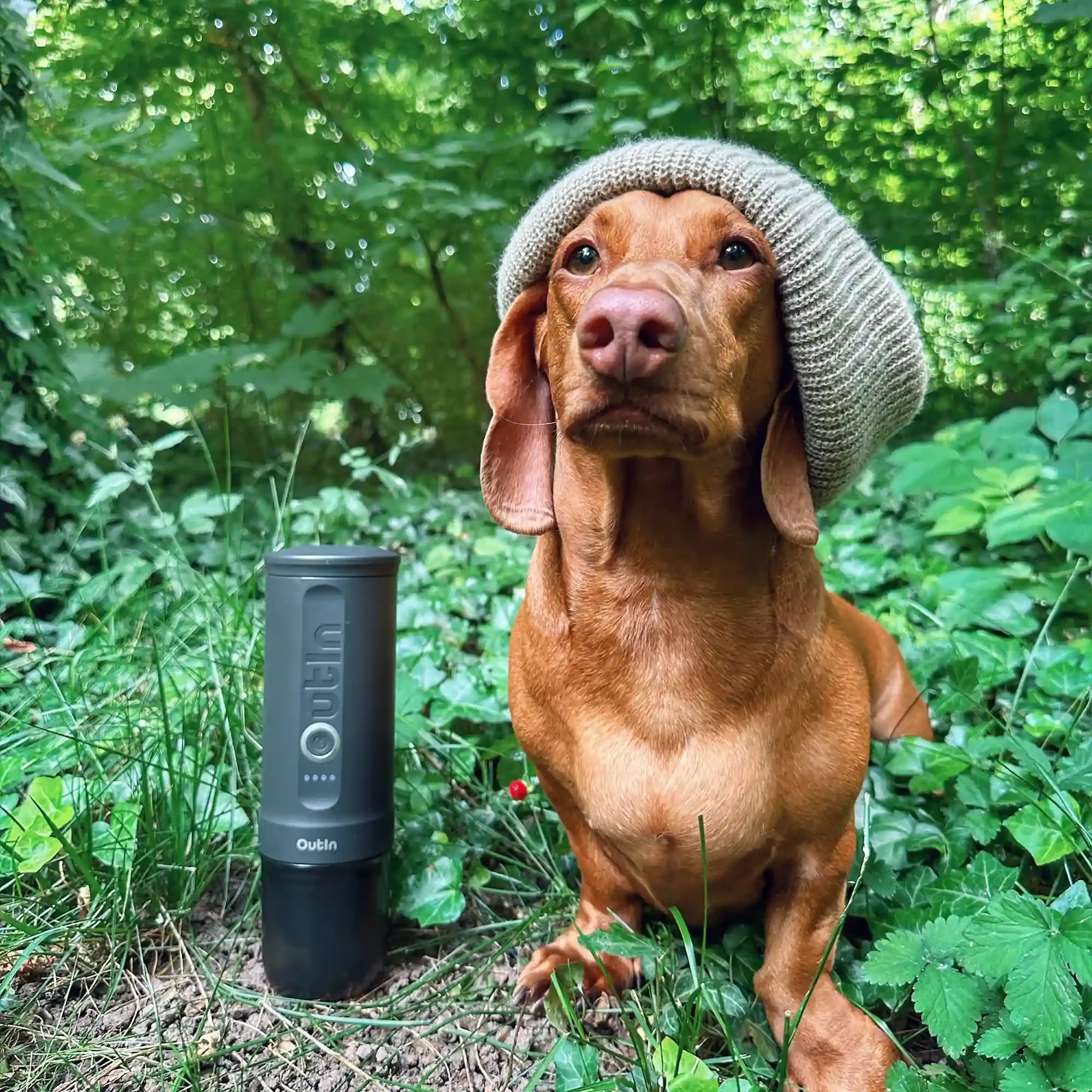 Space Grey OutIn Nano portable espresso machine with a Vizsla dog in a beanie, outdoors.