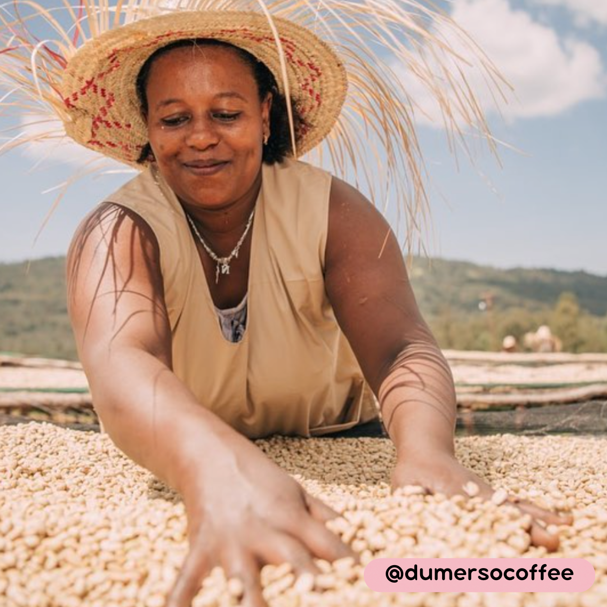 Woman in straw hat sorting dried Ethiopian coffee beans at Dumerso washing station.