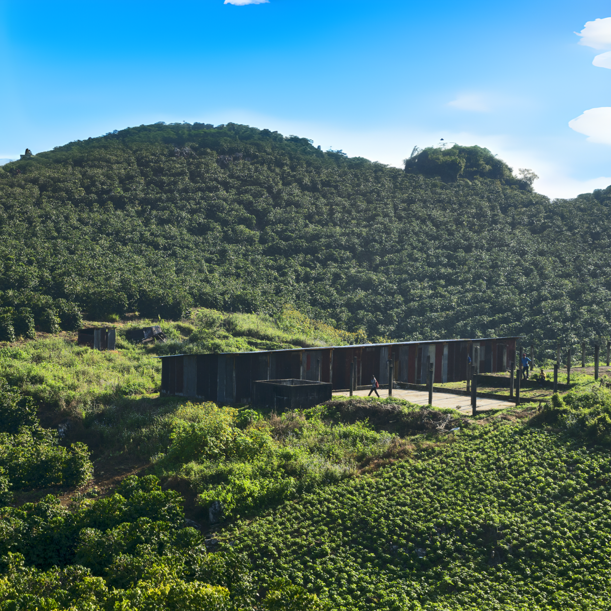 El Prisma Pride Blend coffee farm in Guatemala, showing lush green hills with coffee plants and processing buildings.