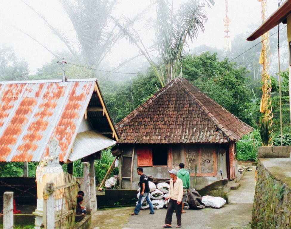 Bali Kintamani village, smallholder farmers, traditional homes, ethical coffee origin.
